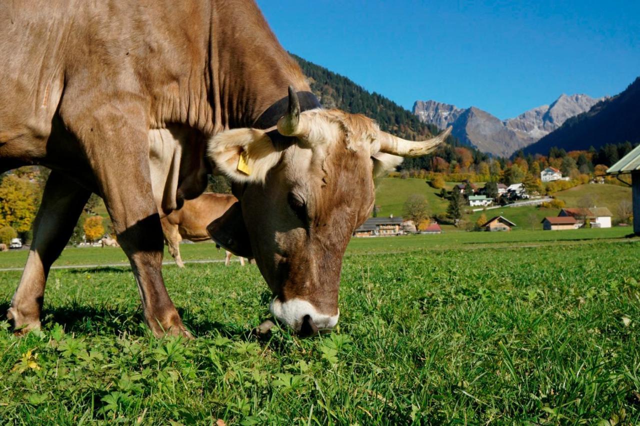 Wiesenblick Oberstdorf Exteriér fotografie